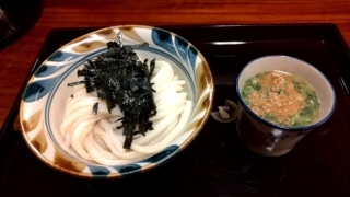 鶏つけうどん+かぼちゃ天、小麦の翼