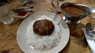 ハンバーグカレー、ボテロ