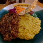 チキンカレー+豆腐キーマ、スパイスカレー食堂